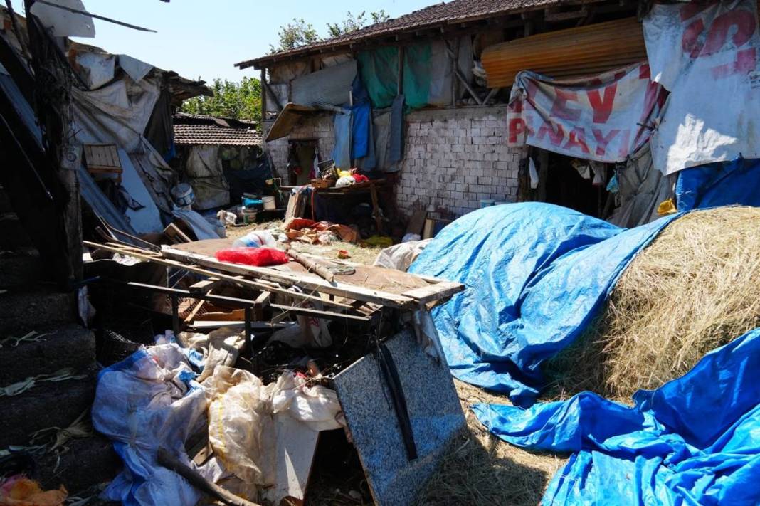 Çöp ev şikayetine giden belediye ekibi küçük dilini yuttu! 5 gün sürdü, onlarca kamyon geldi gitti 7